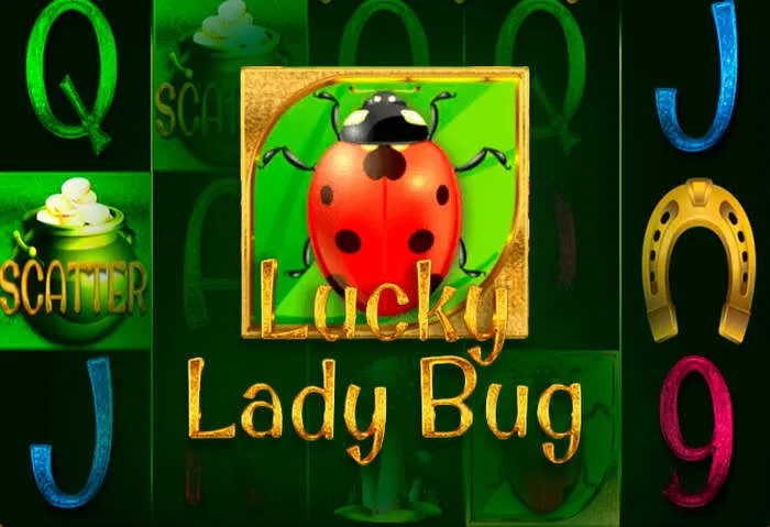 Formulaire d'inscription sécurisé de Lucky Pari Casino rempli par un nouvel utilisateur.